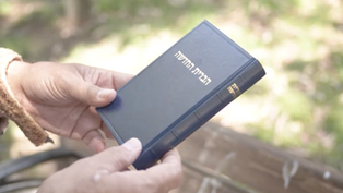 The Hidden Treasure in the Trash