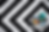CSB_Cover.png