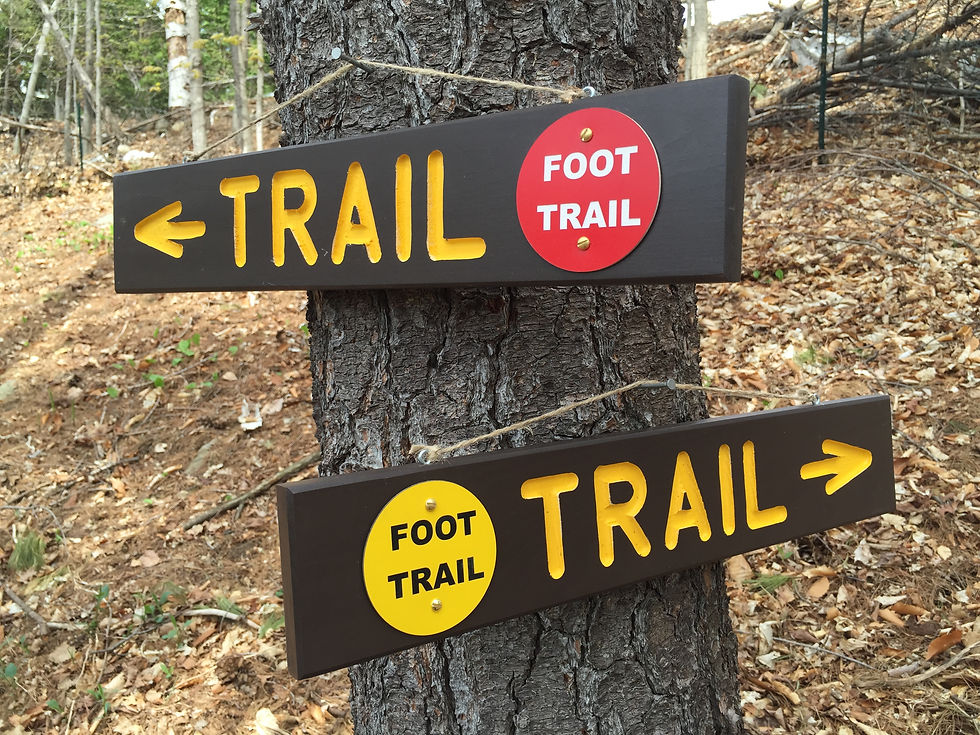 Adirondack style trail signs