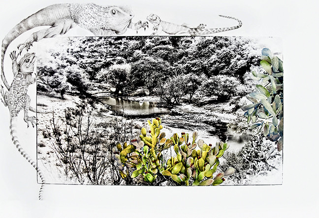 Drawn to Water, from series "Mexican Drawings" by Jod Lourie