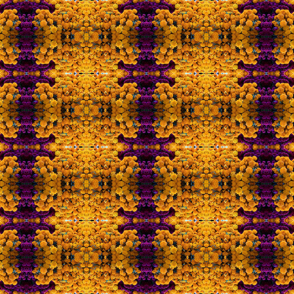 Thumbnail: DoD Flowers