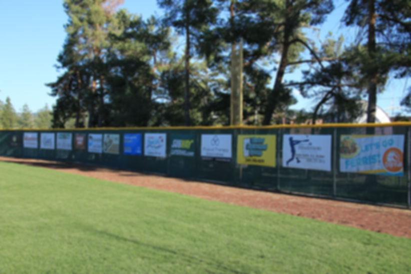 Baseball HR Fence Banner New 2-Year