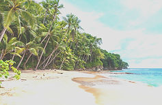 AEnB2Ur-cyMWsgb-YTK4ltEHQoEGxhoUZaZTVAdu