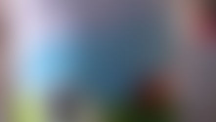 A little wool goes a long way-Felting