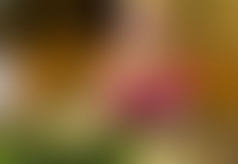 Zikes...the Zukes of the Garden!