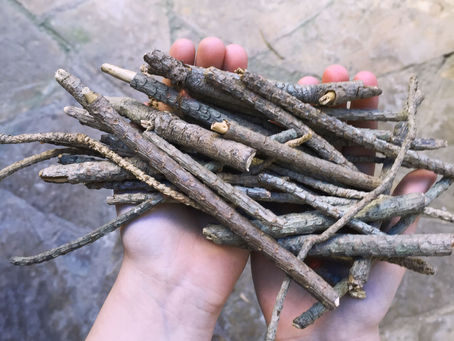 Cuando trabajo y vida personal se funden o -¡Mamá! Te traigo unos palos del cole!