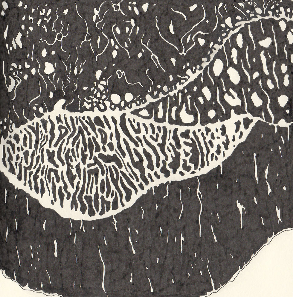 Waves on Beach - Digital Print