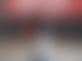 Dona Guiomar representa Lorena na 5ª Conferência Estadual de Promoção da Igualdade Racial