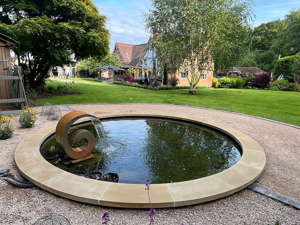 Pond
