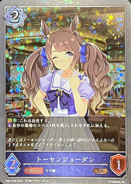 トーセンジョーダン/BRプレミアム/CP01-P29