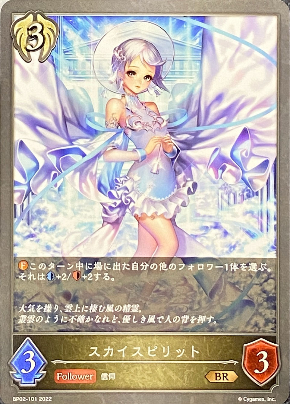 スカイスピリット/BR/BP02-101