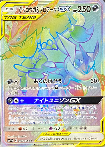 ゲッコウガ ゾロアークgx Hr Sm9a066 055 Minny通販店