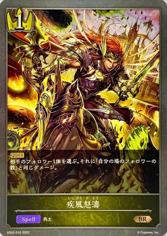 疾風怒涛/BR/SD02-016