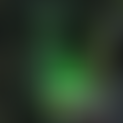 Holidays At The Joint