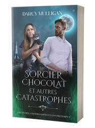 Couverture du roman Sorcier, chocolat et autres catastrophes