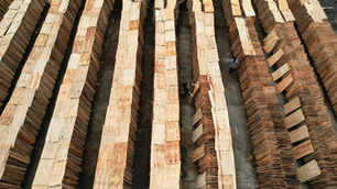 Australian Mills Consider Dumping Case on Russian LVL Glued in China