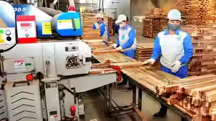 Ngành gỗ nỗ lực hóa giải thách thức