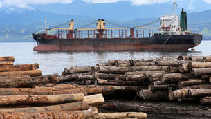 China Now Supplies a Third of Australia’s Wood Imports Untracked