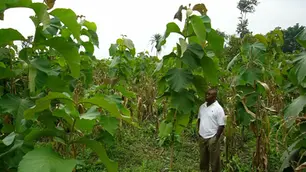 Sustainable Forestry:Our Commitment to the Future