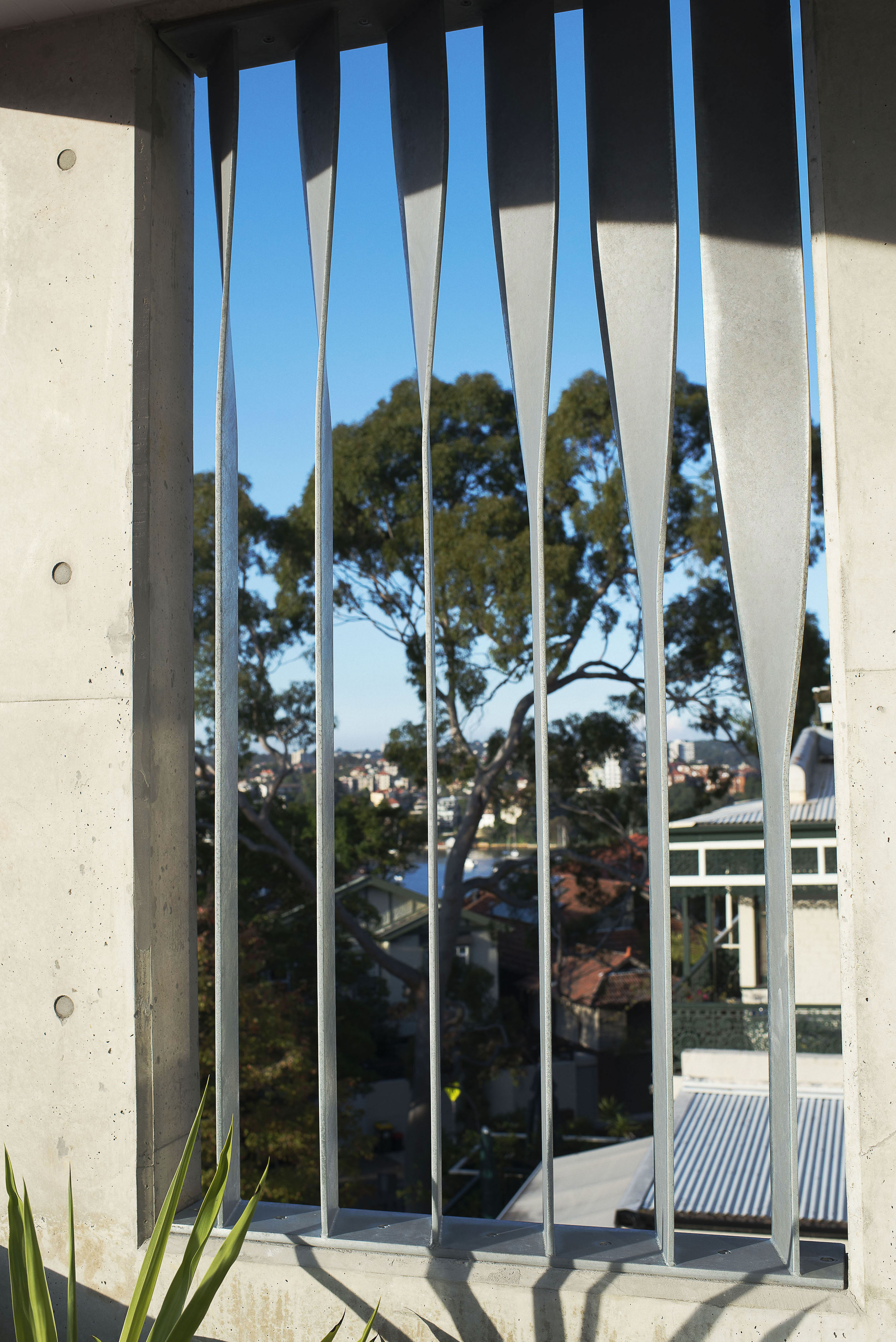 Privacy Screen