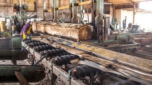 US Buyers Cut Brazil Wood Orders by a Third Before New Tariffs
