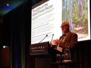 Australia’s $25 Billion Forestry Sector Must Make Its Own Future