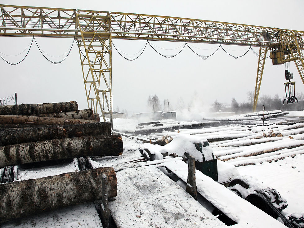 Russia’s Forestry Industry Faces Financial Ruin, New Siberian Study Warns