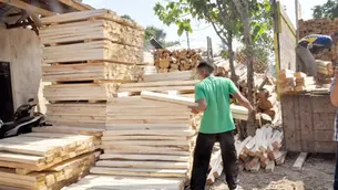ITTO encourages ASEAN to harness timber as a driver of sustainable development