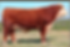 KCF BENNETT ACCLAIM C442