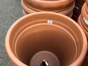 Pot drainage - what a load of crock?