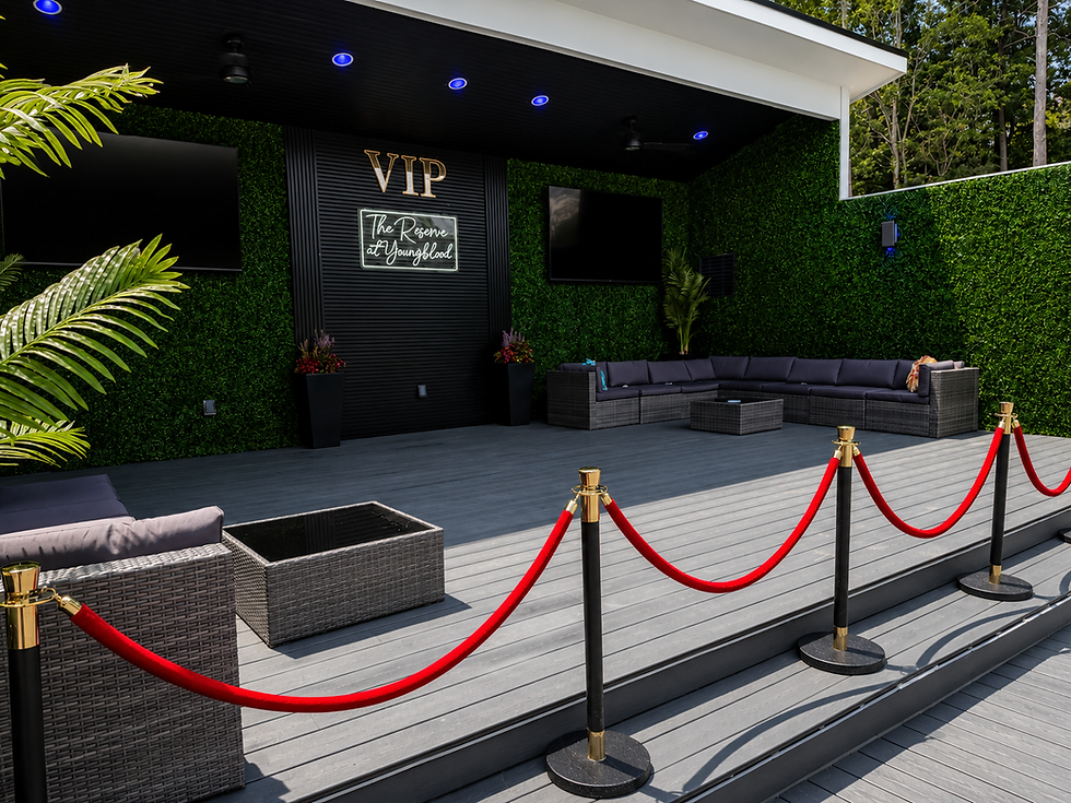 VIP 2.png