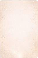 IMG_7052.PNG
