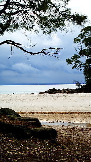 Late day at the beach