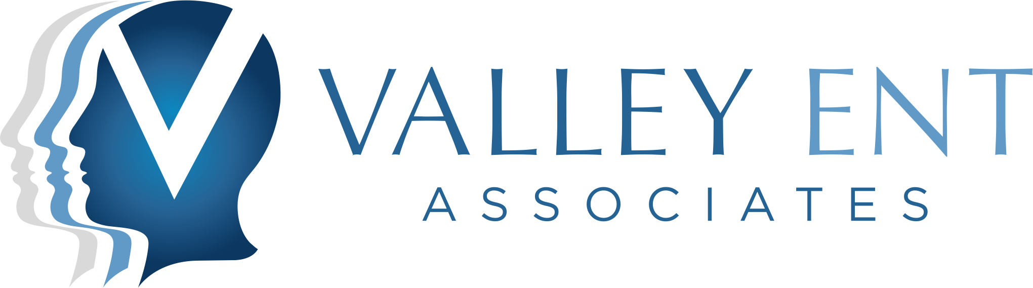 VEA Horizontal color logo - transparent.png