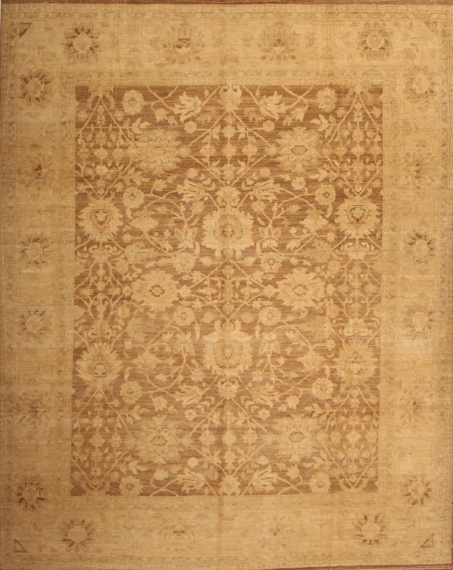 Wool Pakistani Rug | 7.9 X 9.9