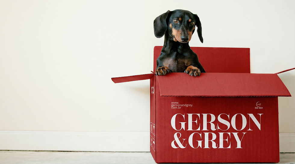 PET_BOX