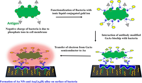 Biomed 477.gif