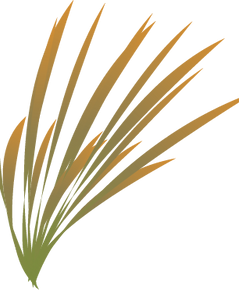feuille 2.png