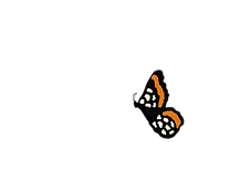 Illustration_sans_titre 6 copie 4.png