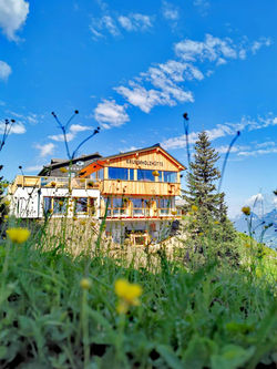 118786356_3463321323712796_5800382064852