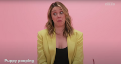 Screen Shot 2023-11-04 at 2.13.27 PM