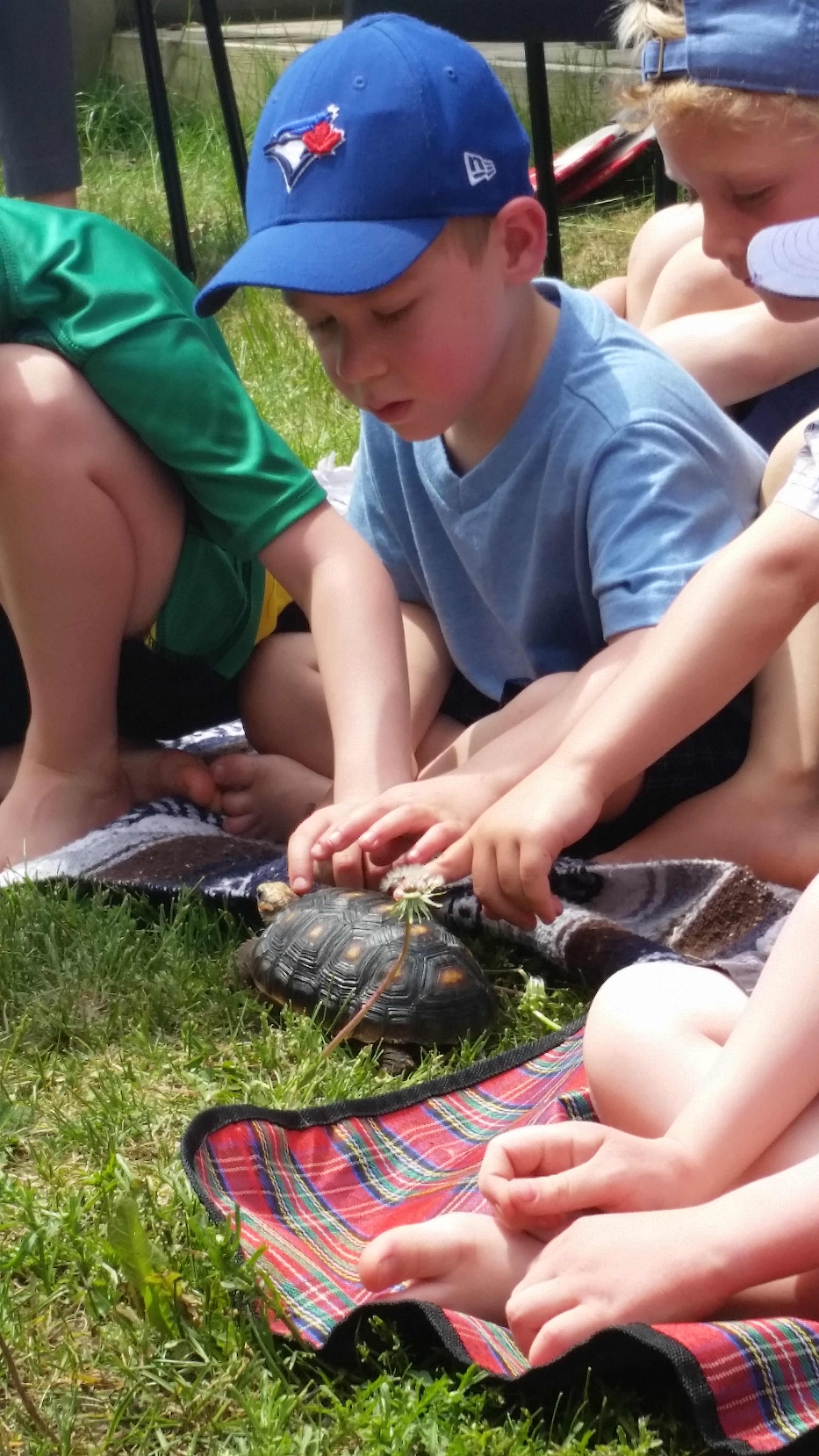 Princess The Red Foot Tortoise