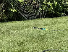 Arrosage et entretien d'une nouvelle pelouse pour assurer l'enracinement de la tourbe à Châteauguay.