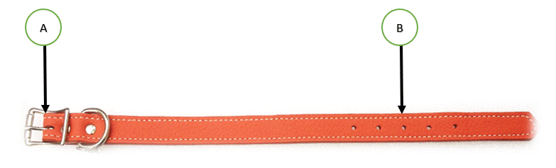 collar for website measurement.gif