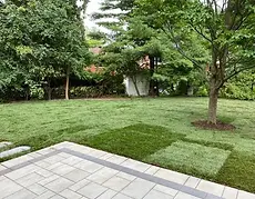 Pose professionnelle de tourbe fraîche avec joints serrés pour un résultat immédiat à Saint-Jean-sur-Richelieu.