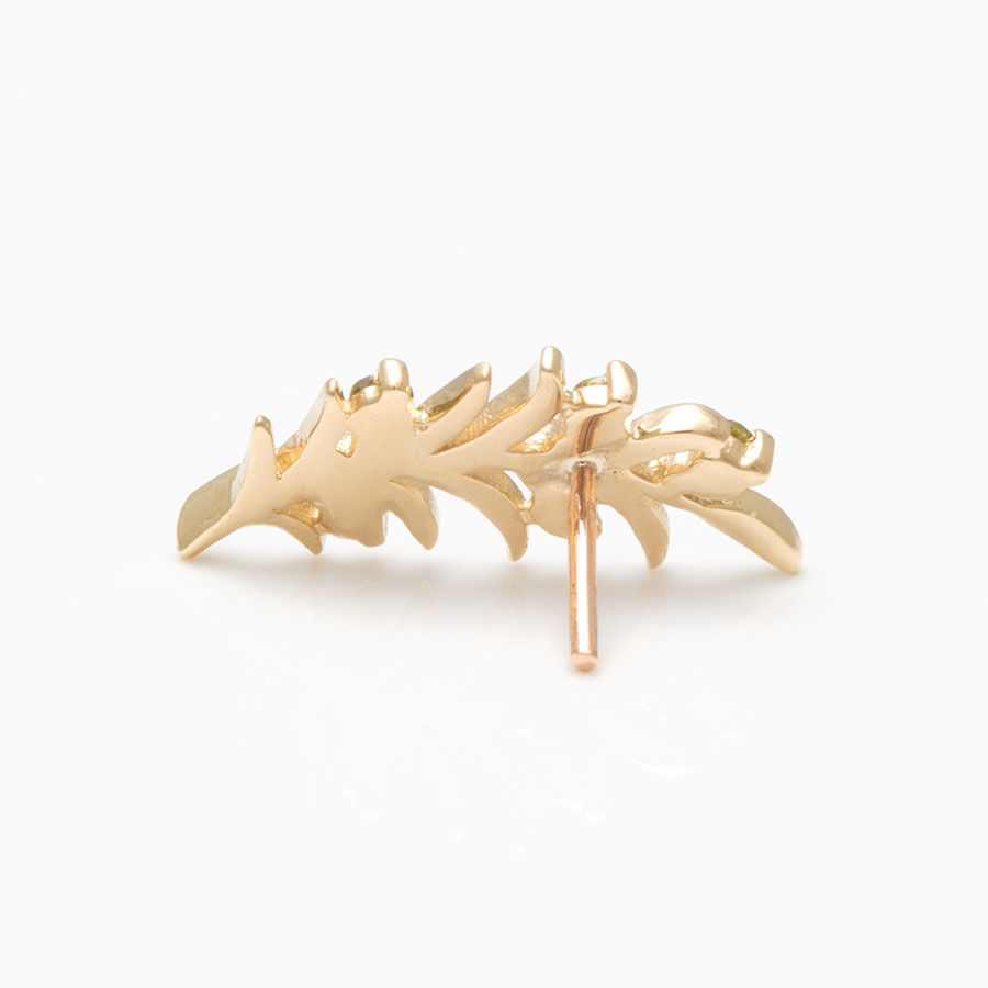 Miniaturbild: Gold Piercing Schmuck