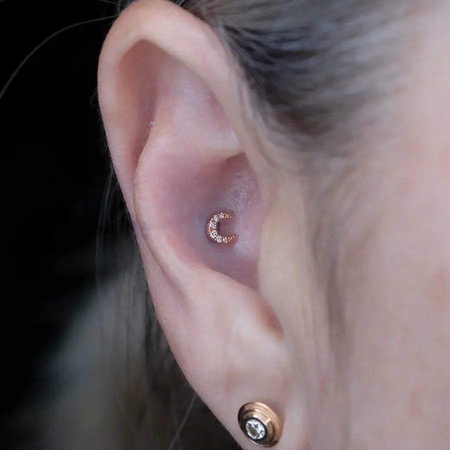 Modern mood Ayla in einem Conch Piercing