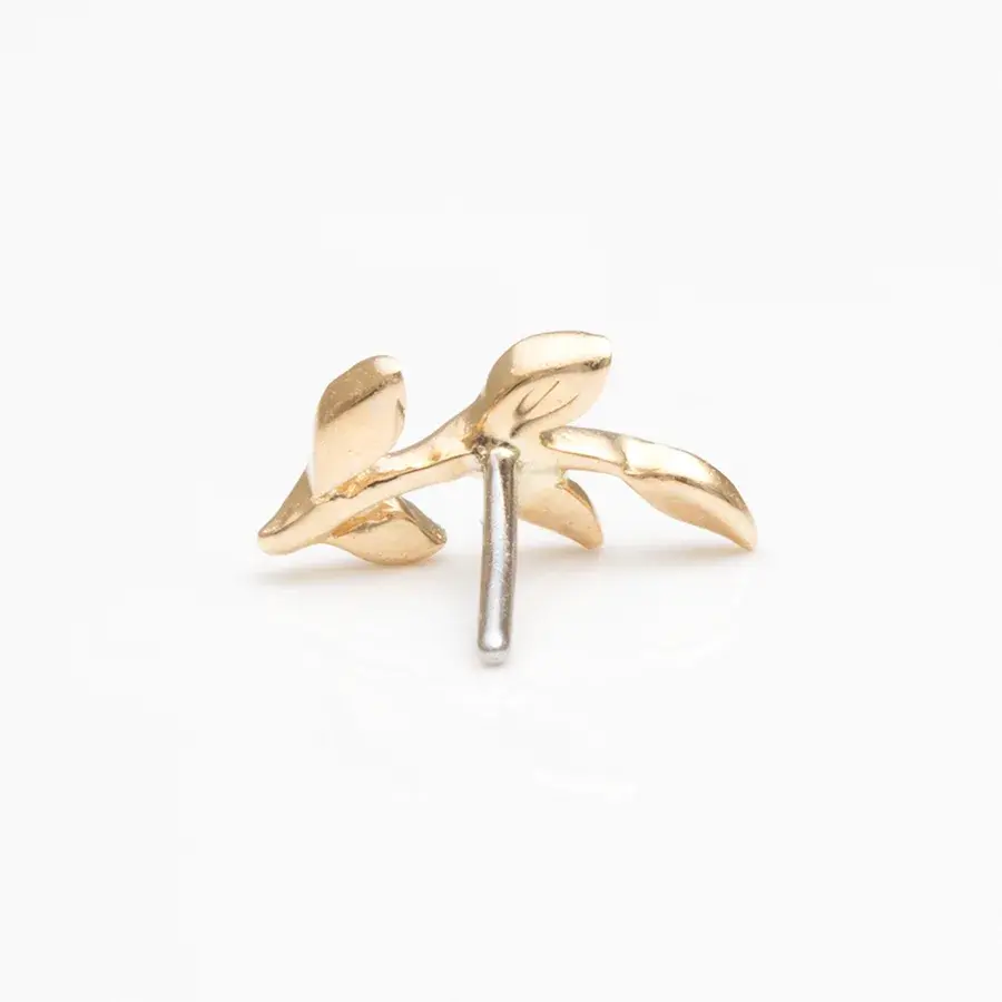 Miniaturbild: Junipurr Aspen für Helix Piercing