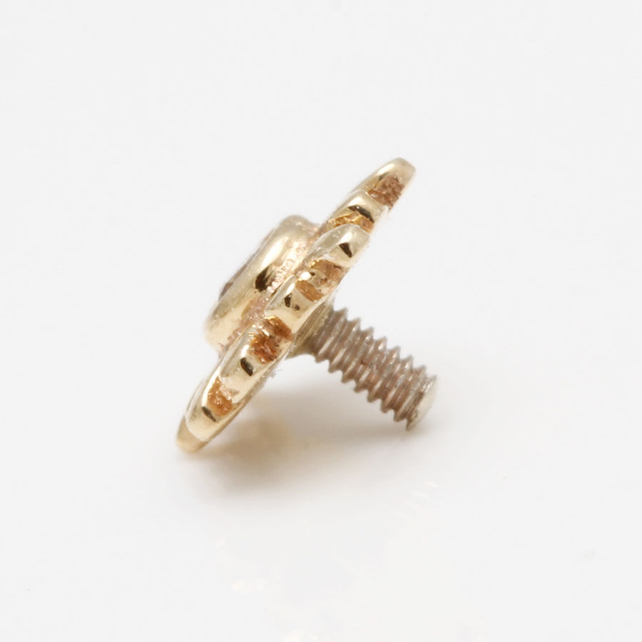 Thumbnail: piercingschmuck gold