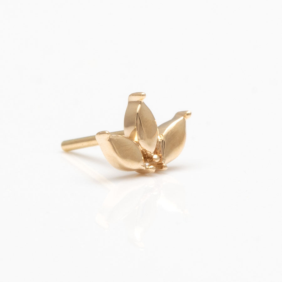 Miniaturbild: Echtgold Piercing Schmuck